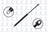 FCS 84472 Trunk Lid Lift Support
