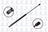 FCS 84556 Liftgate Lift Support