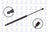 FCS 84592 Liftgate Lift Support
