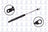 FCS 84603 Hood Lift Support - Front