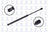 FCS 84617 Deck Lid Lift Support - Rear