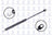 FCS 84618 Hatch Lift Support