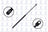 FCS 84634 Liftgate Lift Support
