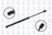 FCS 84642 Back Glass Lift Support