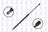 FCS 84703 Tailgate Lift Support - Rear