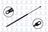 FCS 84715 Hatch Lift Support