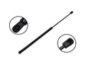 FCS 84717 Tailgate Lift Support