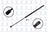 FCS 84724 Hatch Lift Support
