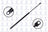 FCS 84772 Hatch Lift Support