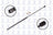 FCS 84800 Hatch Lift Support - Front or Rear