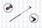 FCS 84827 Hatch Lift Support - Left