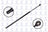 FCS 84860 Hatch Lift Support - Rear
