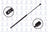 FCS 84879 Tailgate Lift Support