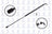 FCS 84919 Deck Lid Lift Support - Rear