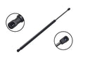 FCS 86008 Liftgate Lift Support