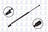 FCS 86113R Liftgate Lift Support - Right