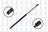FCS 86116 Hatch Lift Support