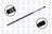 FCS 86124 Liftgate Lift Support