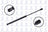 FCS 86148 Hood Lift Support