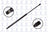 FCS 86151 Liftgate Lift Support