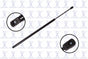 FCS 86155 Hood Lift Support - Front