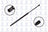 FCS 86156 Liftgate Lift Support