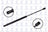 FCS 86161 Tailgate Lift Support