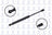 FCS 86170 Deck Lid Lift Support - Rear