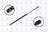 FCS 86179 Liftgate Lift Support