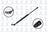FCS 86191L Hatch Lift Support - Left