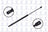 FCS 86199 Liftgate Lift Support