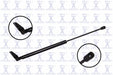 FCS 86219L Tailgate Lift Support - Left
