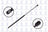 FCS 86225 Hatch Lift Support
