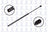 FCS 86243 Liftgate Lift Support