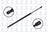 FCS 86246 Liftgate Lift Support
