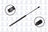 FCS 86261 Liftgate Lift Support