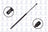 FCS 86262 Tailgate Lift Support