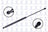 FCS 86265 Tailgate Lift Support
