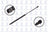 FCS 86275 Hatch Lift Support - Rear