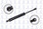 FCS 86278 Tailgate Lift Support