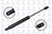 FCS 86280 Hood Lift Support - Front