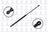 FCS 86291 Tailgate Lift Support