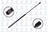 FCS 86361 Hood Lift Support - Front