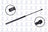 FCS 86367 Tailgate Lift Support