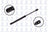 FCS 86409 Trunk Lid Lift Support - Rear