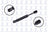 FCS 86411 Deck Lid Lift Support - Rear