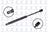 FCS 86412 Trunk Lid Lift Support - Rear