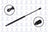 FCS 86440 Deck Lid Lift Support - Rear