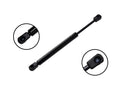 FCS 86457 Trunk Lid Lift Support - Rear