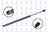 FCS 86502 Hatch Lift Support - Rear